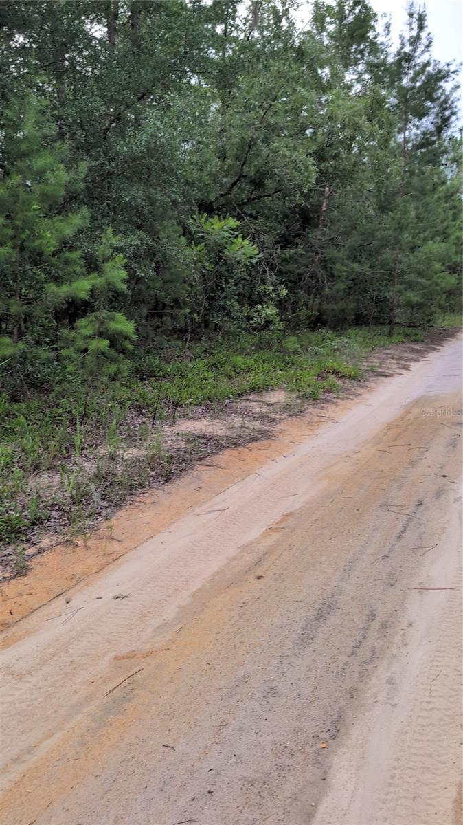Image 1 Image 1