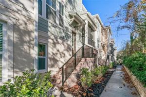 209 QUEEN PALM