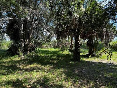 PINE ISLAND