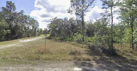 701 ORCHID DRIVE