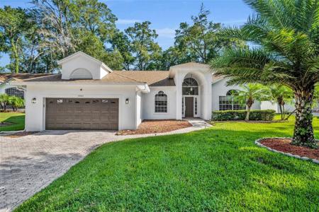 2441 WILLOW SPRINGS COURT