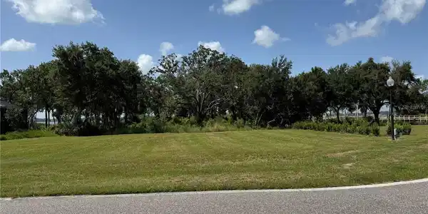 1706 LIVE OAK DRIVE
