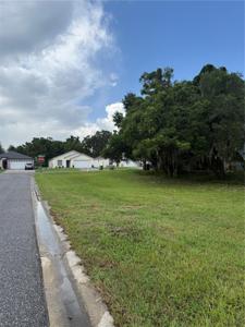 MAGNOLIA STREET