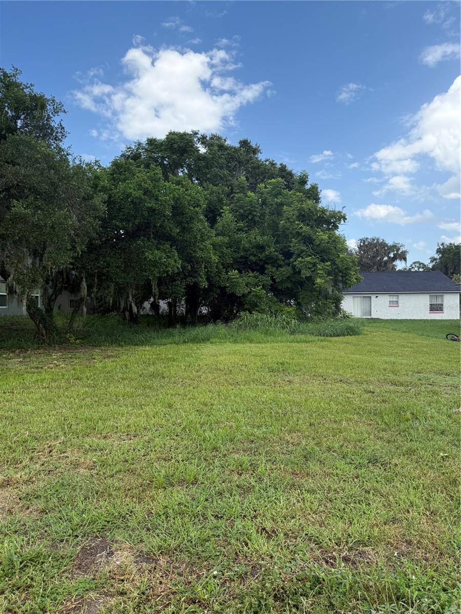 Image 3 Image 3