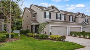 1484 GROUNDSEL