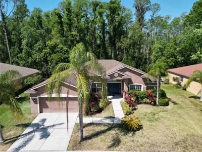 1135 WYNDHAM LAKES DRIVE