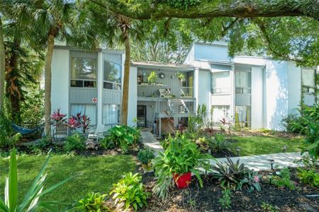 2418 LEMON TREE