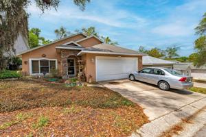 36 TOWNHILL