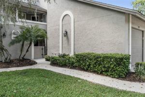 308 SHADOWBAY