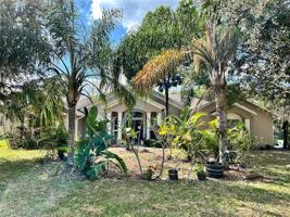 317 WATER SHORE
