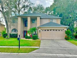 2228 MOUNTAIN SPRUCE