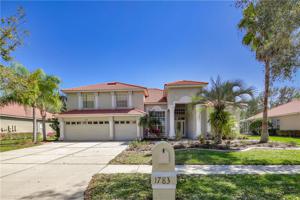 17838 ARBOR GREEN DRIVE