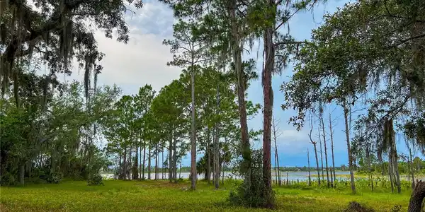 2332 MITCHELL ISLAND ROAD
