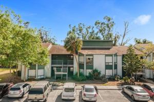 2604 LEMON TREE