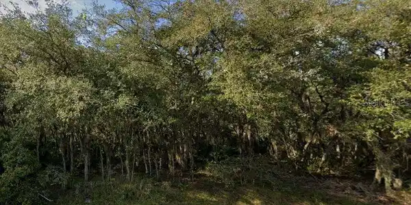 Image 3 Image 3