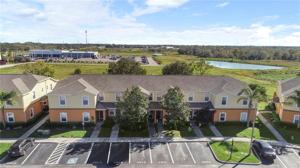 4213 WINDING VINE