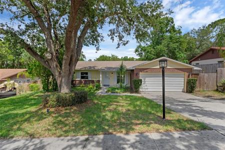 209 EDGEWOOD DRIVE