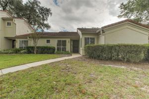 258 SABAL PALM