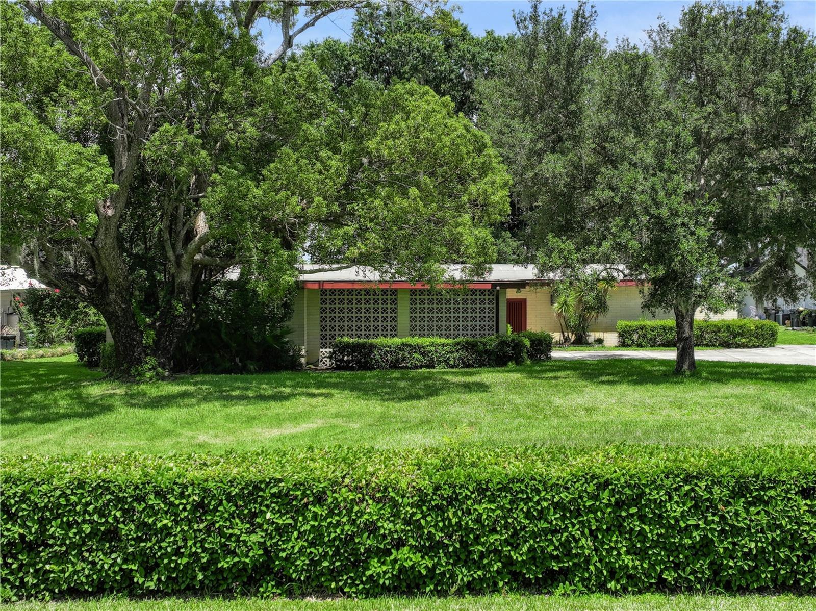 Image 1 Image 1