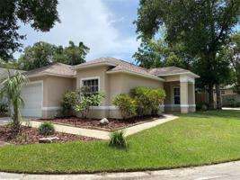 39 TOWNHILL