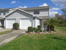 339 ORANGE BLOSSOM