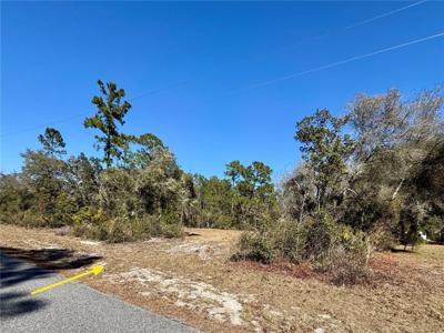 LOT 11 POINCIANA STREET