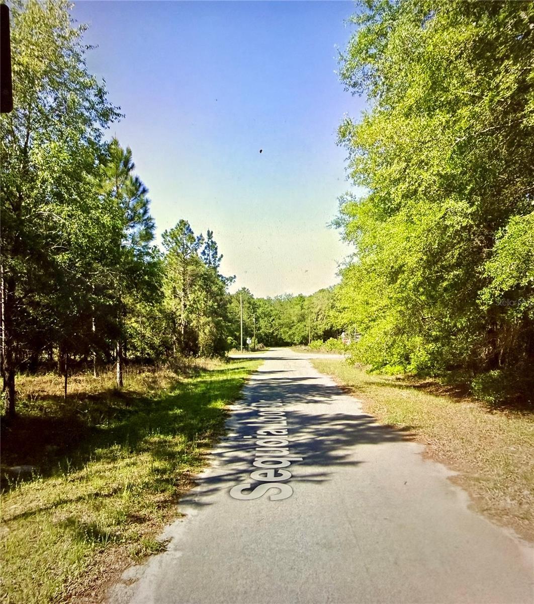 Image 1 Image 1