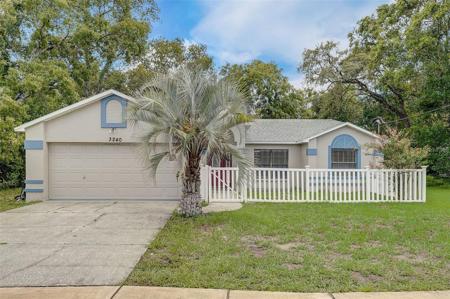3240 DELTONA