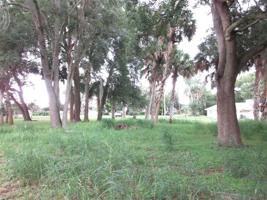 0 OCALE WAY/TIMUCUAN ROAD