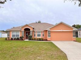 592 WILLET