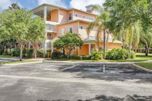 106 PARADISE PARADE 23202