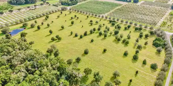 24257 HIDDEN MEADOWS
