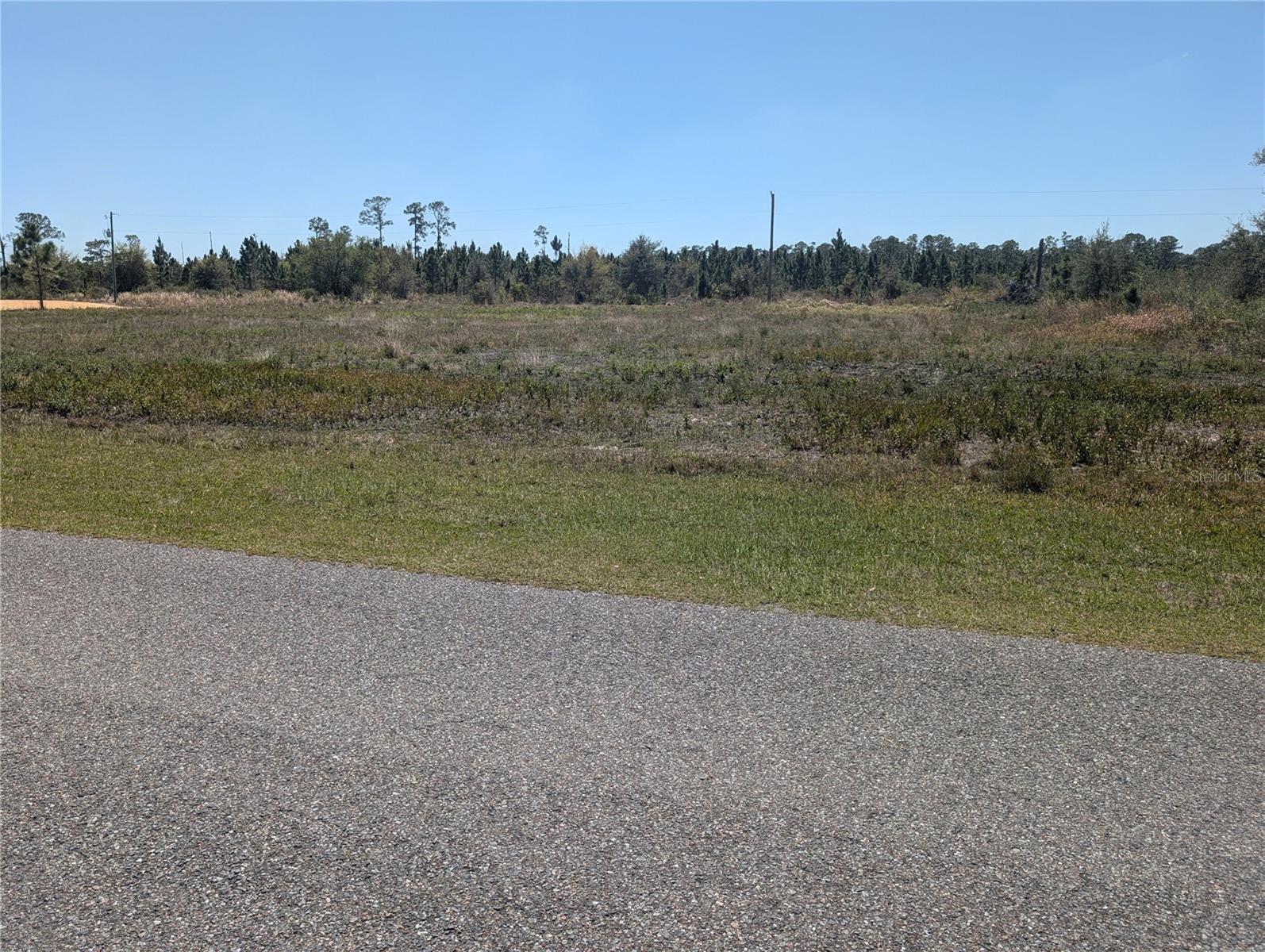 Image 1 Image 1