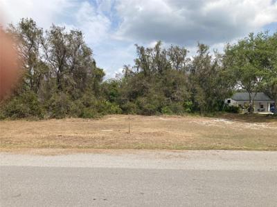 PINETREE DRIVE