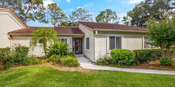 178 SABAL PALM