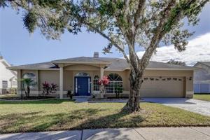 4616 BASSWOOD
