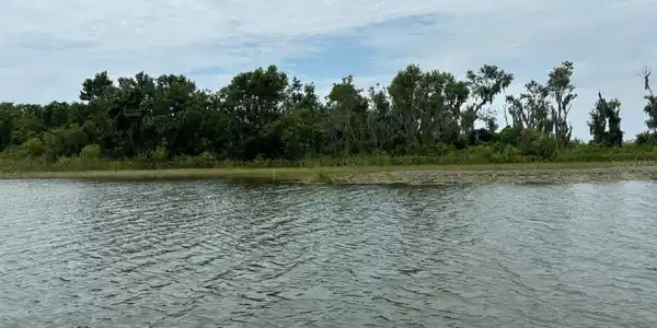 6001 BIRD ISLAND DRIVE