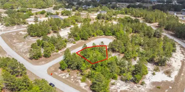 602 HOMOSASSA WAY