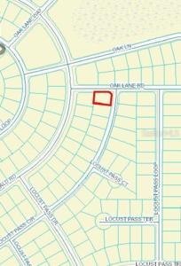 Lot 1 TBD LOCUST PASS CIRCLE