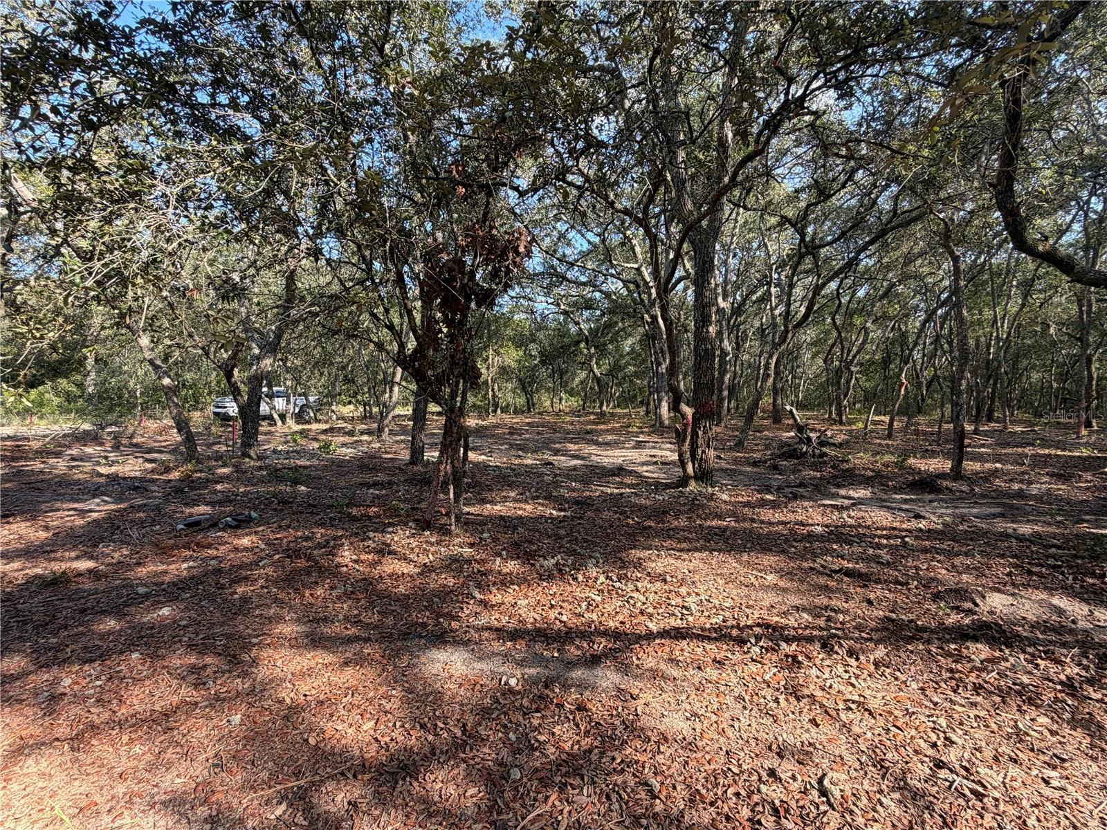 Image 3 Image 3