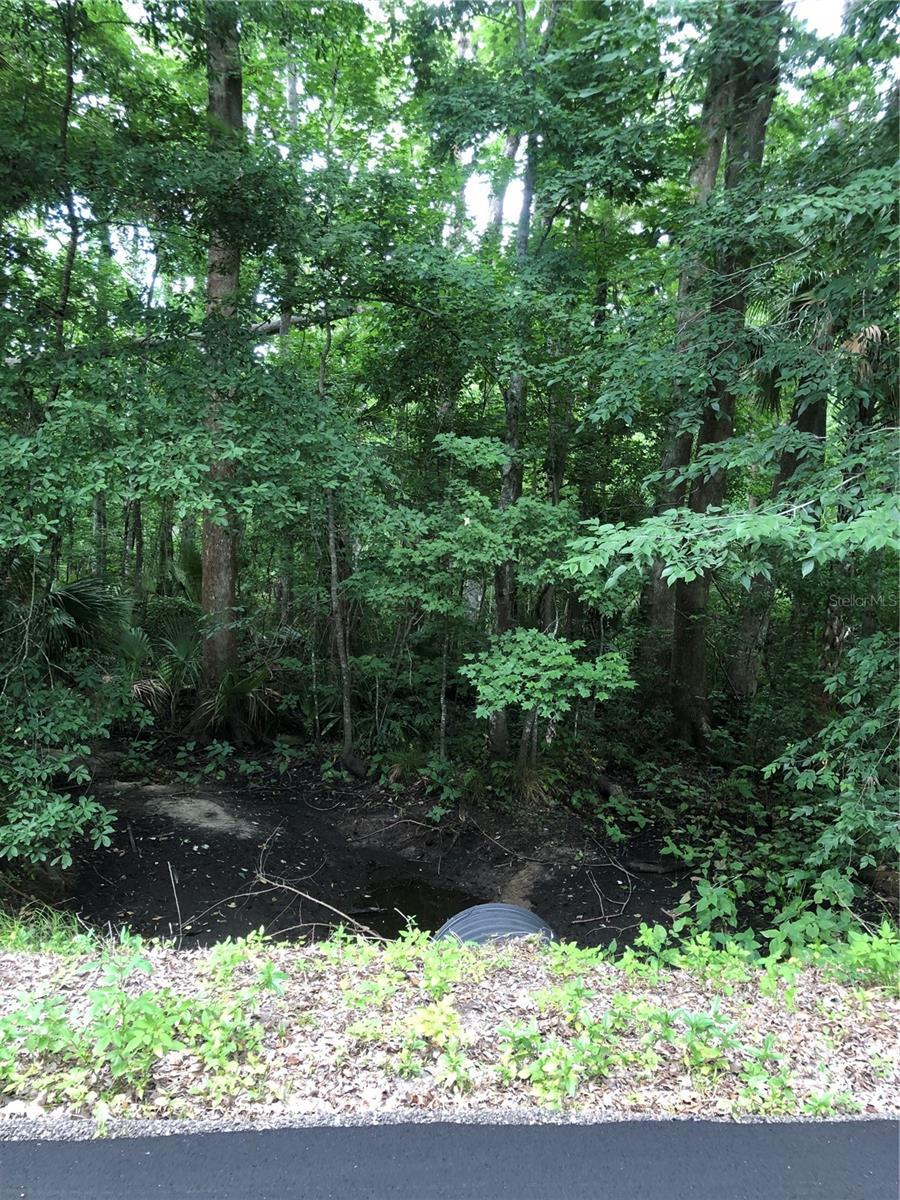 Image 4 Image 4
