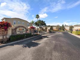 4132 WINDING VINE