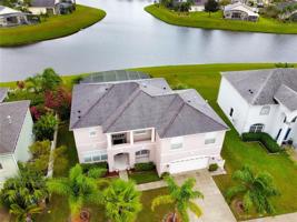2513 CALLA LILY