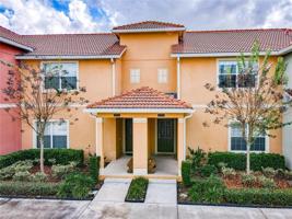 2929 BUCCANEER PALM