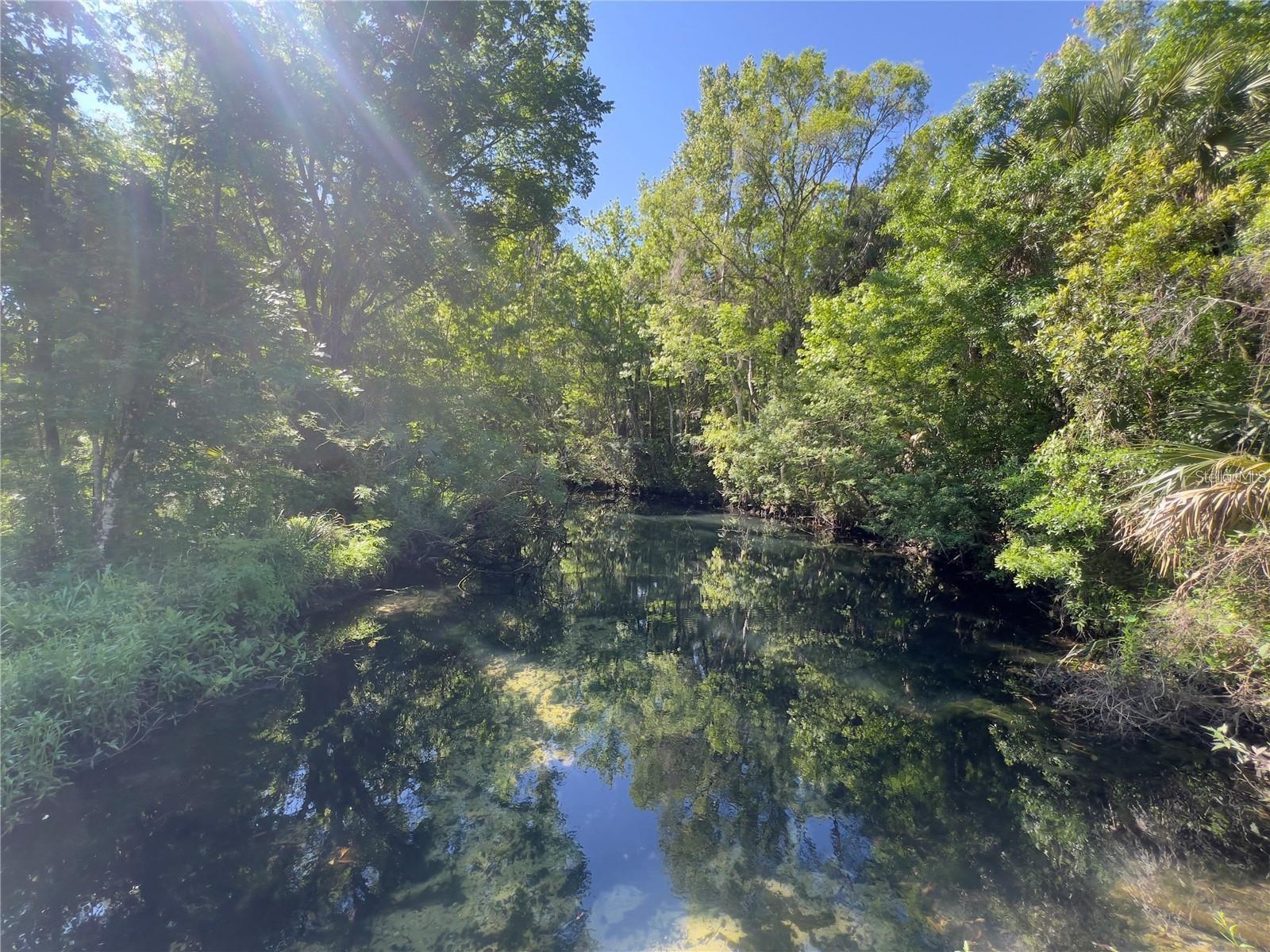 Image 4 Image 4