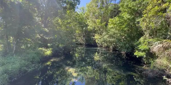 Image 4 Image 4