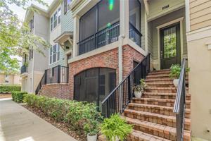 207 QUEEN PALM