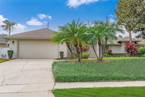 8473 ISLAND PALM