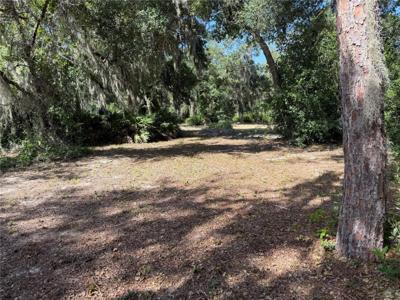 3113 BRIGHT LAKE CIRCLE