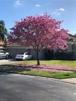 10939 LEDGEMENT LANE